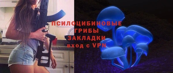 прущие грибы Гусь-Хрустальный
