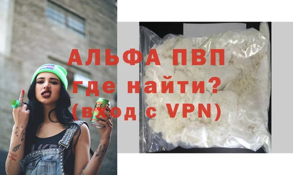 стаф Гусев