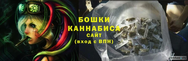 стаф Гусев
