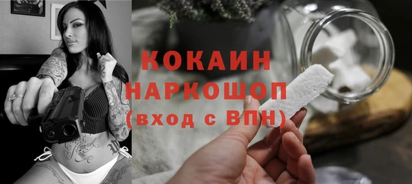 прущие грибы Гусь-Хрустальный