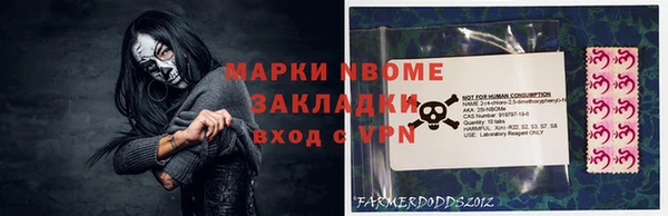 стаф Гусев