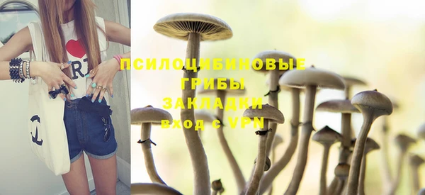 прущая мука Гусиноозёрск