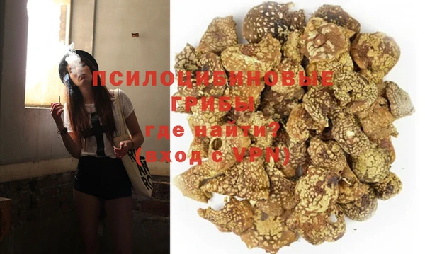 прущие грибы Гусь-Хрустальный