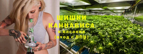 прущие грибы Гусь-Хрустальный