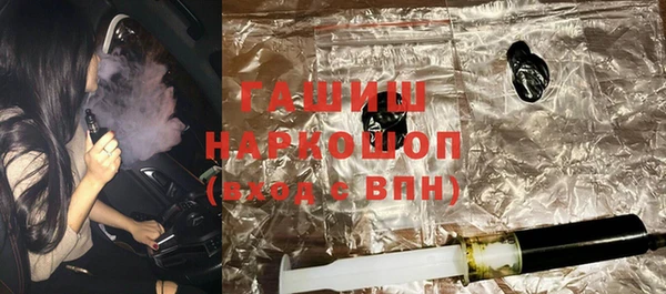 стаф Гусев