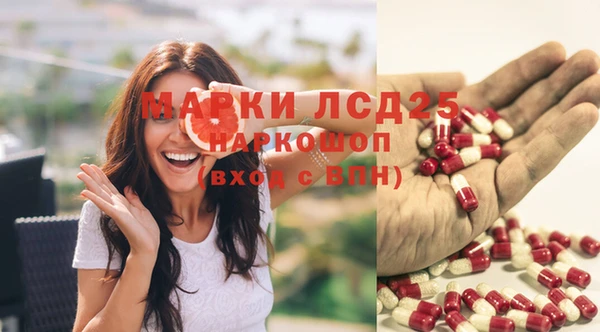 стаф Гусев