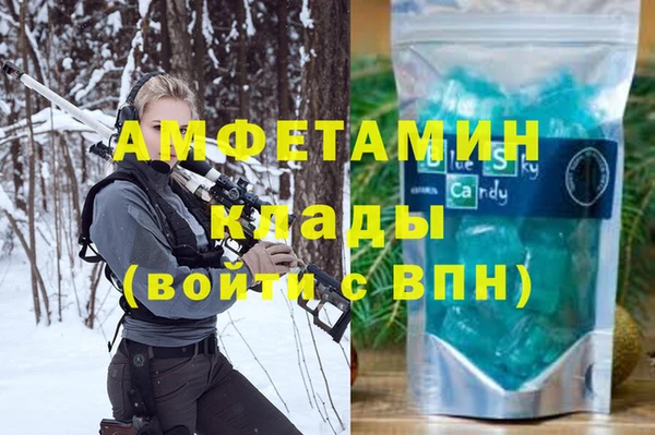 прущие грибы Гусь-Хрустальный