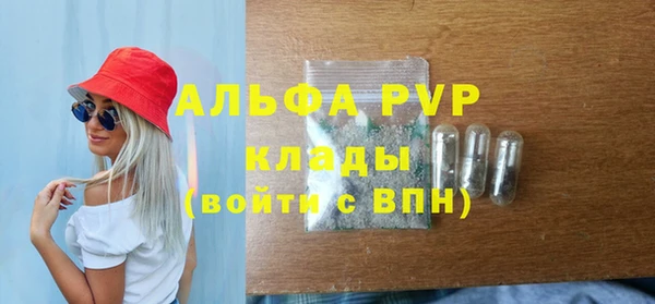 стаф Гусев