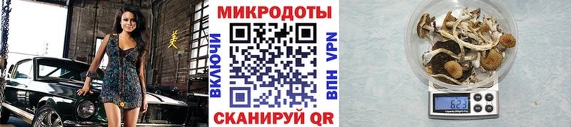 Псилоцибиновые грибы ЛСД  Чебоксары 